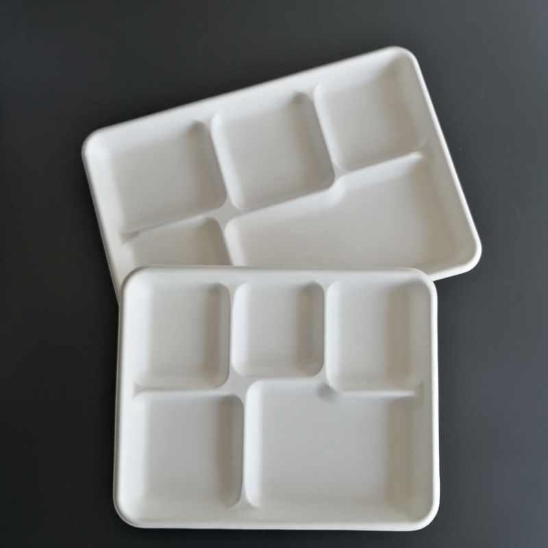 Manufacturer's Disposable 5-Compartment Sugarcane Bagasse Food Tray Well Made for Parties and Camping Safe for Refrigeration