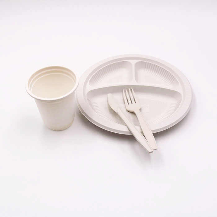 Umwelt freundliche biologisch abbaubare 3-fach Einweg-Bagasse flache natürliche braune Teller