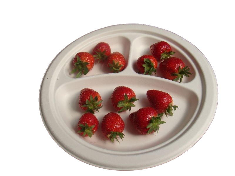 Sugarcane Water and Oil Resistant Compostable Materials Eco Friendly Disposable Biodegradable Plates