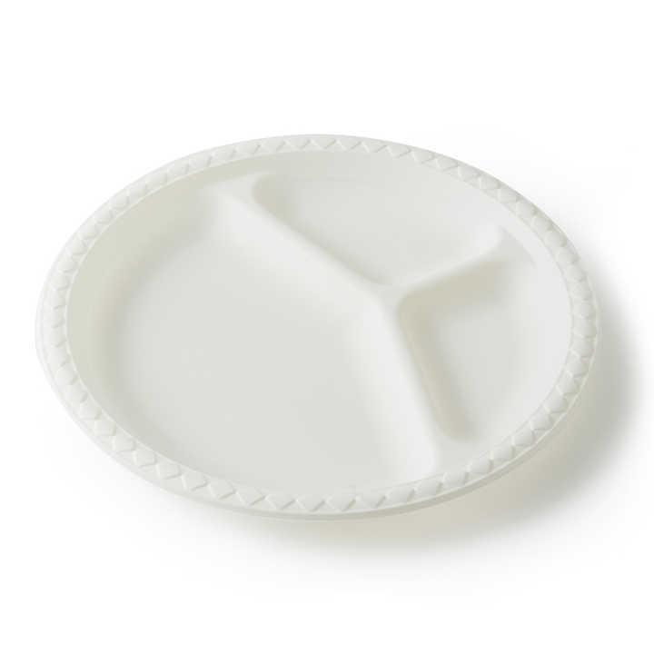 Biodegradable Disposable Travel Party Rectangular 9 10 Inch Cornstarch Plates for Food